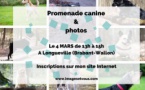 promenade canine & photos