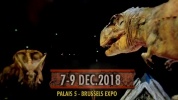sur-la-terre-des-dinosaures-le-spectacle-live-2018.mp4
