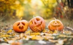 Préparons Samhain Préparons Samhain