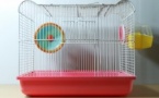 LE JOURNAL D’EDWARD, HAMSTER NIHILISTE (1990-1990) 