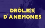 Drôle d'Anémones - Plateau de 5 humoristes 