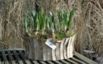 Atelier d'art floral au Jardin de Léontine