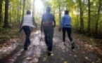 Balade Nordique  au bois de Lauzelle