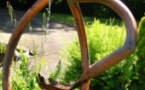 Visite guidée "Sens-Eau-rielle": Découvrez l'eau par vos sens