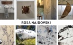 Rosa Najdovski, Exposition Attaches d'encre. Dessins et Installations