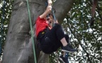 Stage grimpe d'arbres - débutant Stage grimpe d'arbres - débutant