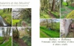 Promenade "Des balanins et des moulins Promenade "Des balanins et des moulins
