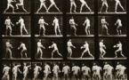 Le temps suspendu du mouvement. Eadweard Muybridger par G. Le Gall, Sorbonne Université, Paris