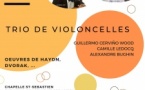 Trio de violoncelles (G. Cerviño Wood, C. Ledocq & A. Bughin) Trio de violoncelles (G. Cerviño Wood, C. Ledocq & A. Bughin)