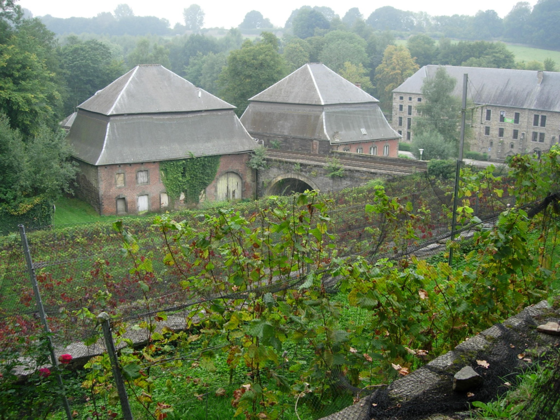 Villers-la-Ville : Visite guidée du Vignoble de l'Abbaye
