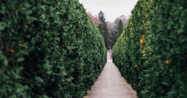 Retour du printemps et de ses règles ! La loi concernant le taillage des haies. Retour du printemps et de ses règles ! La loi concernant le taillage des haies.