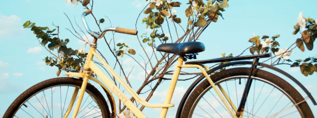 Faites graver votre vélo gratuitement ! Faites graver votre vélo gratuitement !