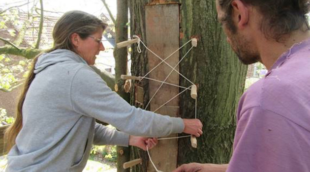 Wavre inaugure la 2e ruche-tronc de Belgique Wavre inaugure la 2e ruche-tronc de Belgique