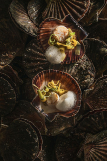 © photos: antoinemelis.com © photos: antoinemelis.com