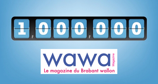 Le site web WaWa Magazine c'est déjà plus de 1.000.000 de pages vues en 2017 !