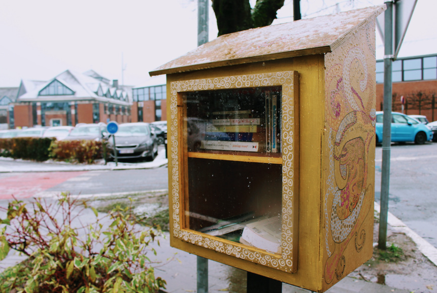 Waterloo : Trois nouvelles boîtes à livres pour un hiver d'évasions littéraires Waterloo : Trois nouvelles boîtes à livres pour un hiver d'évasions littéraires