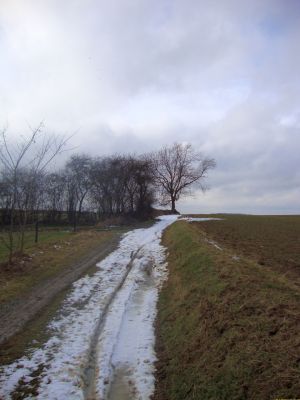 RandoEvents : Randonnées en Brabant wallon