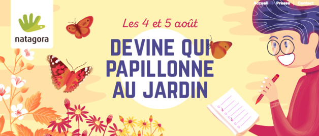 Natagora vous invite à participer à l'opération "Devine qui papillonne au jardin" Natagora vous invite à participer à l'opération "Devine qui papillonne au jardin"