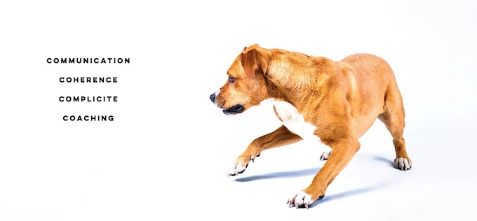 Coralie Lion : Comportementaliste / éducateur canin (Waterloo - Brabant wallon)