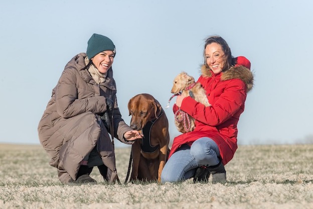 Comportementaliste et éducateur canin | Waterloo et Brabant wallon Comportementaliste et éducateur canin | Waterloo et Brabant wallon