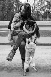 The Dog Nanny : La douce voix des chiens du Brabant wallon, Comportementaliste et éducateur canin (Waterloo et Brabant wallon) The Dog Nanny : La douce voix des chiens du Brabant wallon, Comportementaliste et éducateur canin (Waterloo et Brabant wallon)