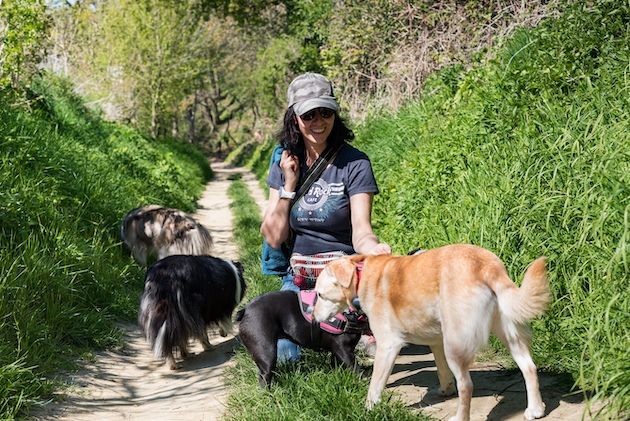 The Dog Nanny : La douce voix des chiens du Brabant wallon, Comportementaliste et éducateur canin (Waterloo et Brabant wallon) The Dog Nanny : La douce voix des chiens du Brabant wallon, Comportementaliste et éducateur canin (Waterloo et Brabant wallon)