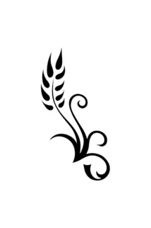 Massage Louvain-la-neuve : J’ai testé un massage californien chez Epi-Cure Massage Louvain-la-neuve : J’ai testé un massage californien chez Epi-Cure