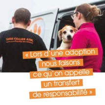 Le refuge des sans colliers du Brabant wallon Le refuge des sans colliers du Brabant wallon