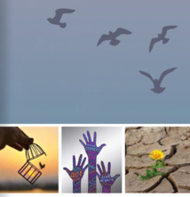 Patricia Deswert : Innover pour être libre ! Patricia Deswert : Innover pour être libre !