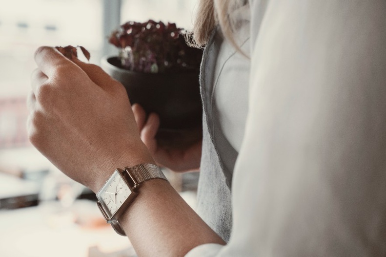 Montres Carl Edmond : La classe venue du Nord. Montres Carl Edmond : La classe venue du Nord.