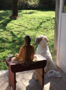 Keracoeur : Découvrez la pratique en mieux-être et l’ergothérapie. Keracoeur : Découvrez la pratique en mieux-être et l’ergothérapie.