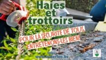 Waterloo : Haies et trottoirs: 5 choses à savoir Waterloo : Haies et trottoirs: 5 choses à savoir