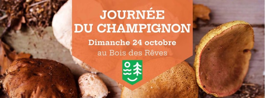 Journée du Champignon au Bois des Rêves Journée du Champignon au Bois des Rêves