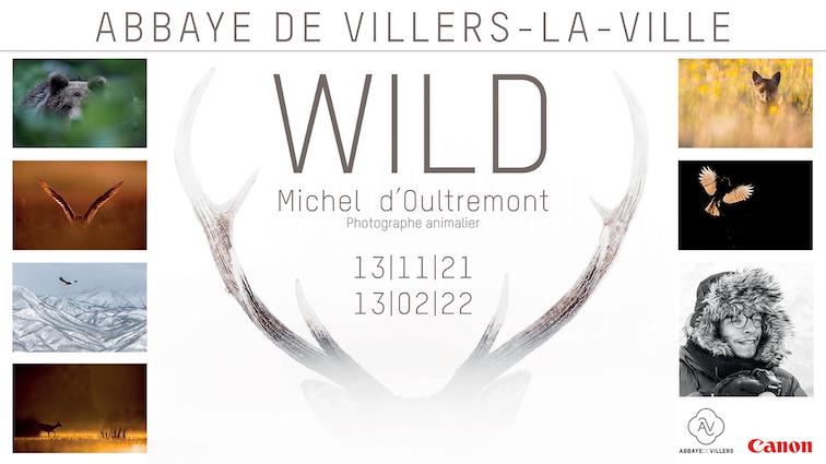 Exposition Wild de Michel d’Oultremont.