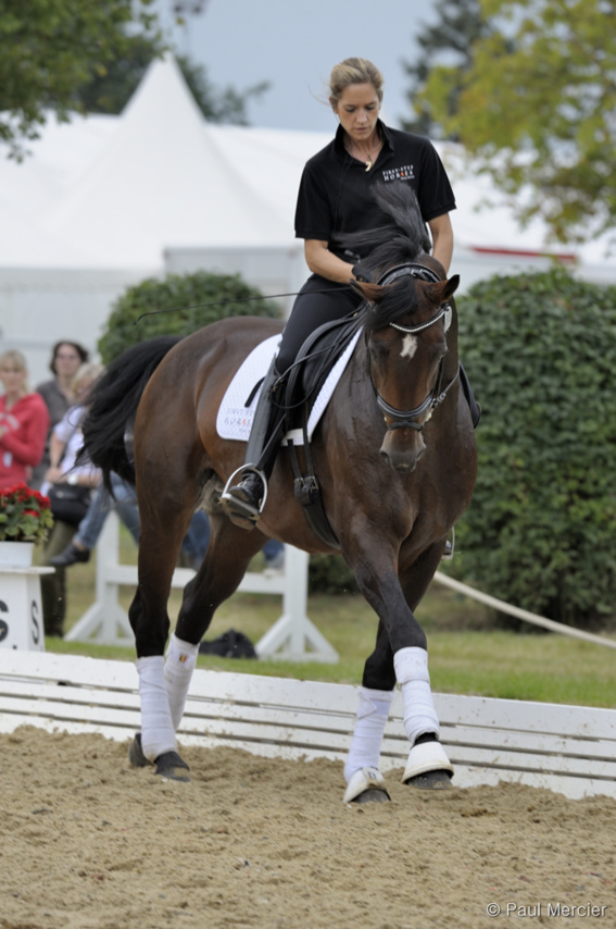 L'art équestre - Larissa Pauluis - Braine l'Alleud L'art équestre - Larissa Pauluis - Braine l'Alleud