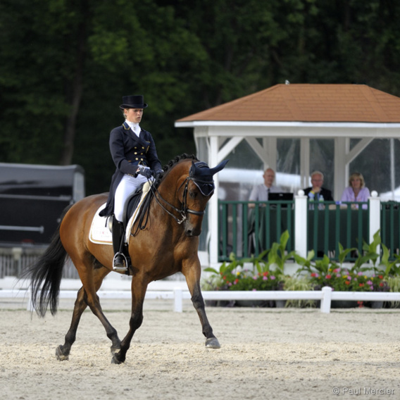 L'art équestre - Larissa Pauluis - Braine l'Alleud L'art équestre - Larissa Pauluis - Braine l'Alleud