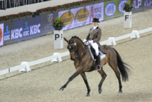 L'art équestre - Larissa Pauluis - Braine l'Alleud L'art équestre - Larissa Pauluis - Braine l'Alleud