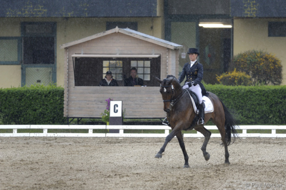 L'art équestre - Larissa Pauluis - Braine l'Alleud L'art équestre - Larissa Pauluis - Braine l'Alleud