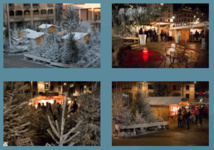 Louvain La Neige 2013 ! Marché de Noël Traditionnel et Village nordique Louvain La Neige 2013 ! Marché de Noël Traditionnel et Village nordique