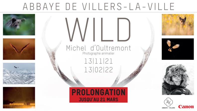  Exposition photos : prolongation | "Wild" de Michel d’Oultremont  | Du 13 novembre 2021 au 21 mars 2022 | Villers-la-Ville