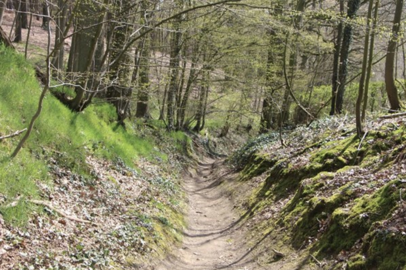 Petite rando autour de Céroux | le 20 mars 2022 Petite rando autour de Céroux | le 20 mars 2022