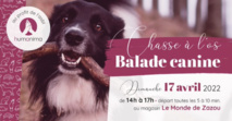 Chasse à l'os (balade canine) | Le 17 avril 2022 | Wavre Chasse à l'os (balade canine) | Le 17 avril 2022 | Wavre