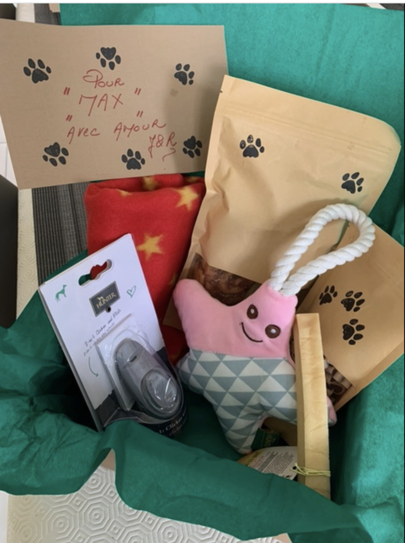 Jack & Russel : Gâtez votre toutou avec la Box Fun ! Jack & Russel : Gâtez votre toutou avec la Box Fun !