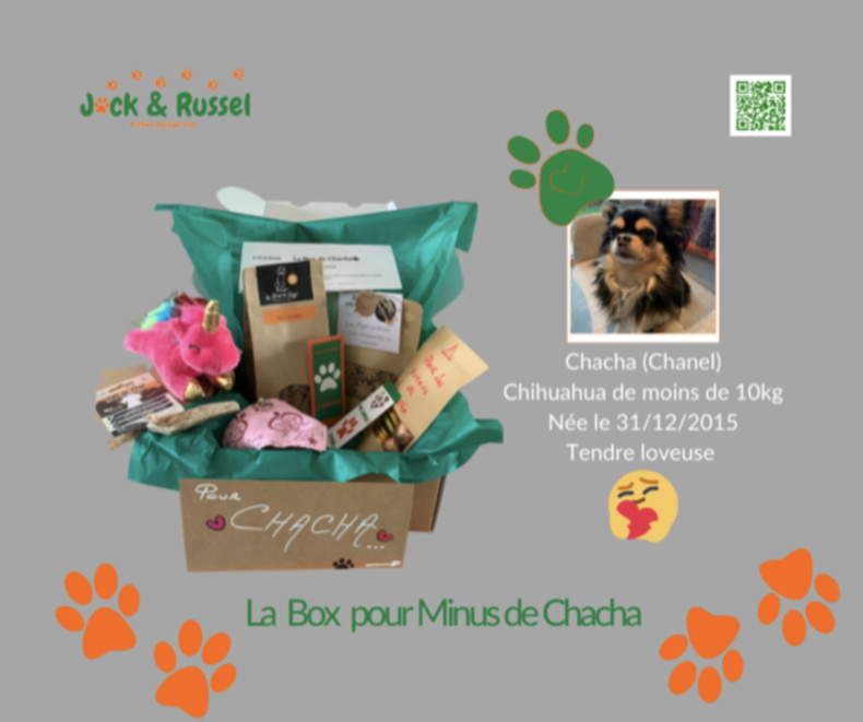 Jack & Russel : Gâtez votre toutou avec la Box Fun ! Jack & Russel : Gâtez votre toutou avec la Box Fun !