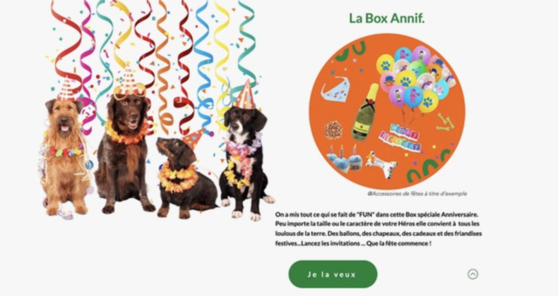 Jack & Russel : Gâtez votre toutou avec la Box Fun ! Jack & Russel : Gâtez votre toutou avec la Box Fun !