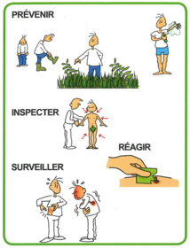 Les tiques : prévenir et réagir Les tiques : prévenir et réagir