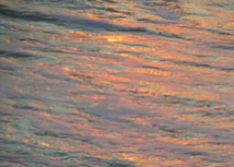 Les nouveaux objectifs de Didier de Radiguès Les nouveaux objectifs de Didier de Radiguès