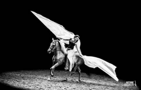 Nova - Spectacle équestre qui nous emmène dans les étoiles Nova - Spectacle équestre qui nous emmène dans les étoiles