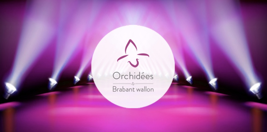 Six talents du Brabant wallon mis à l’honneur lors des Orchidées Six talents du Brabant wallon mis à l’honneur lors des Orchidées