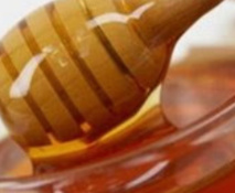 Wavre : Le premier miel du Maca